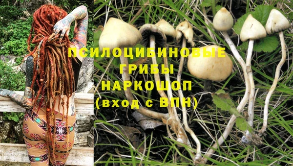 шишки Алексин