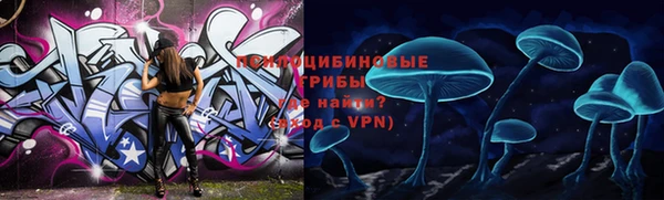 шишки Алексин
